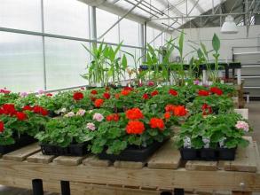 NMPRC Greenhouse