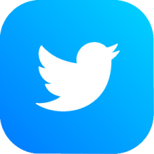 Twitter Icon